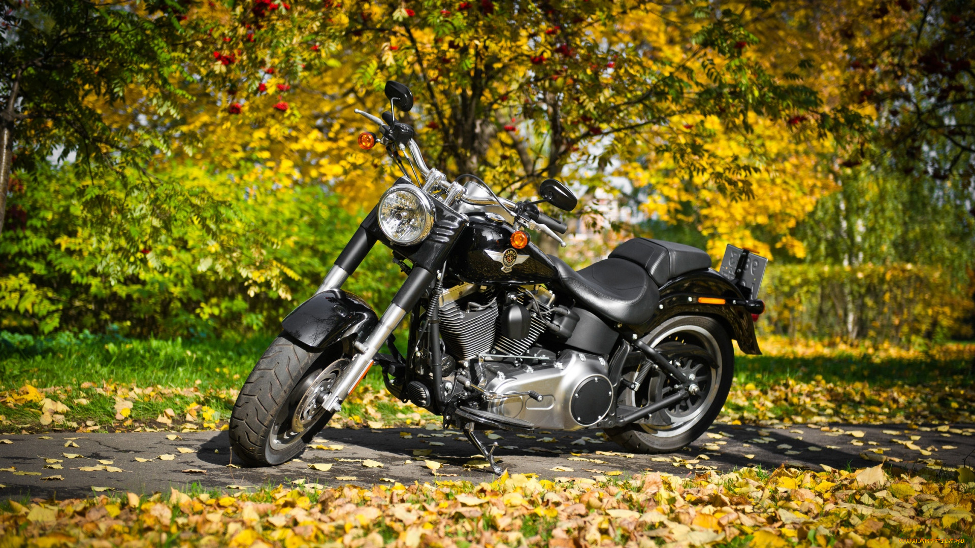 harley davidson, , harley-davidson, davidson, harley